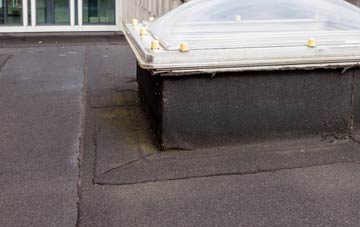 disadvantages of Smarts Hill flat roofs